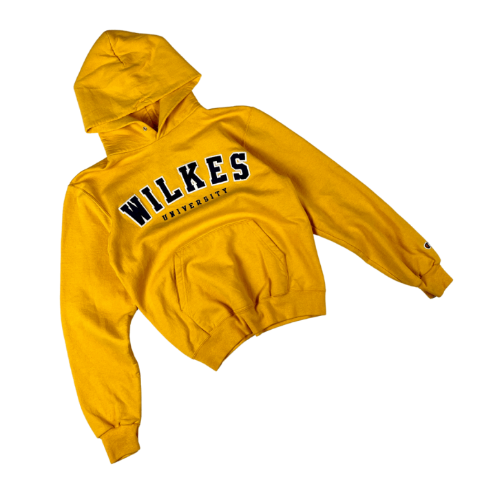 Champion boxy hoodie Wilkes University bluza z haftem 90s (S)