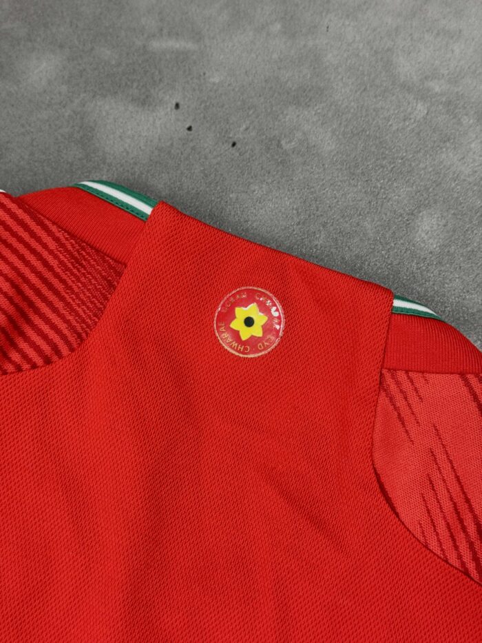 Adidas koszulka sportowa piłkarska Walia jersey (S) - obrazek 5